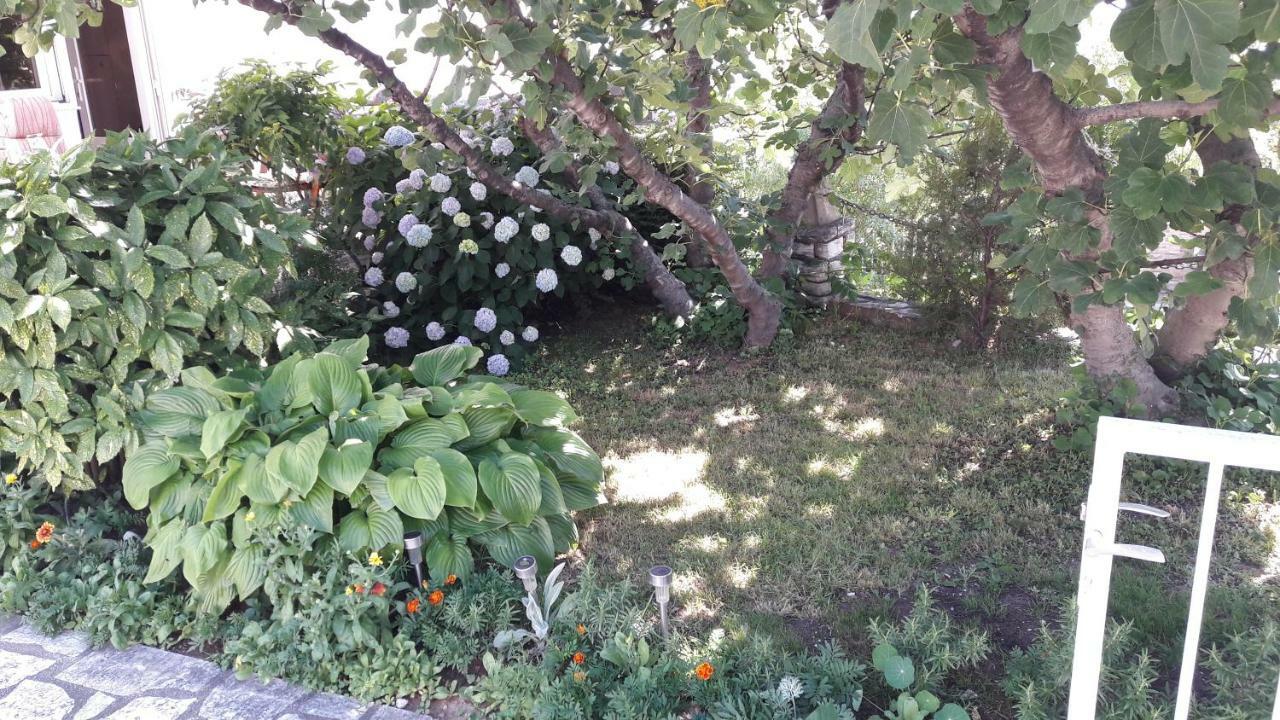 Appartamento Mica Senj  Esterno foto